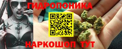 эйфоретик Заводоуковск
