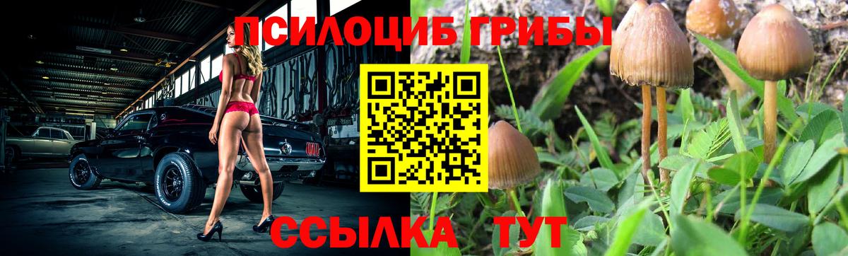 Псилоцибиновые грибы мицелий Кирово-Чепецк